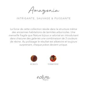 Boucles d'oreilles Nature Bijoux Amazonia