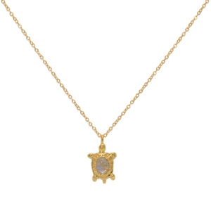 Collier LuckyTeam pendentif Tortue et Rainbow
